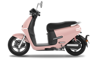 EK3 Rosa